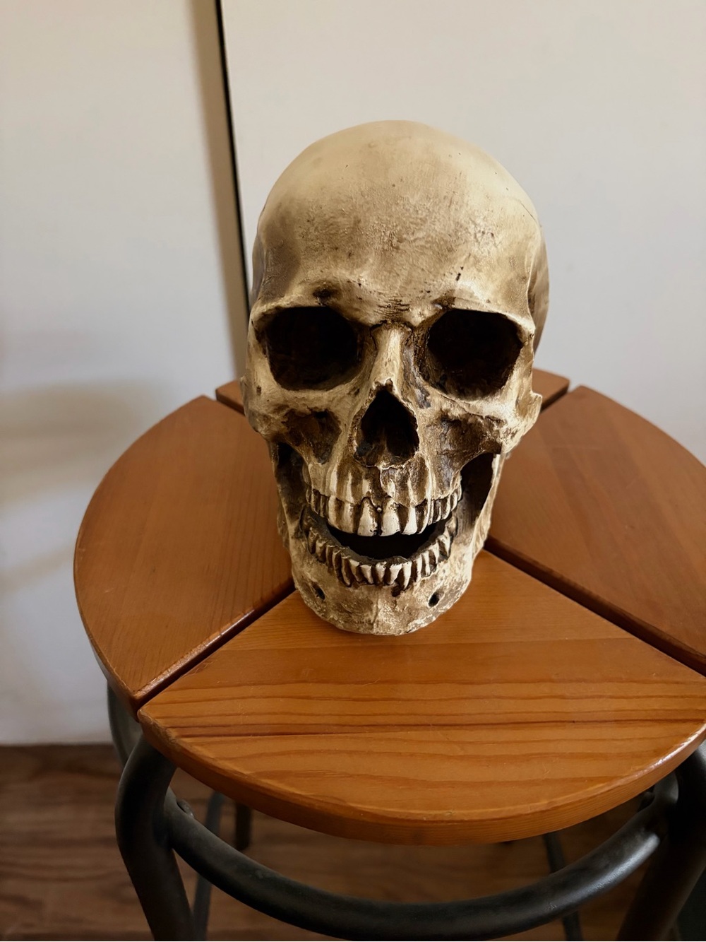 Decorative Artificial Skull Home Art - Antique Ivory